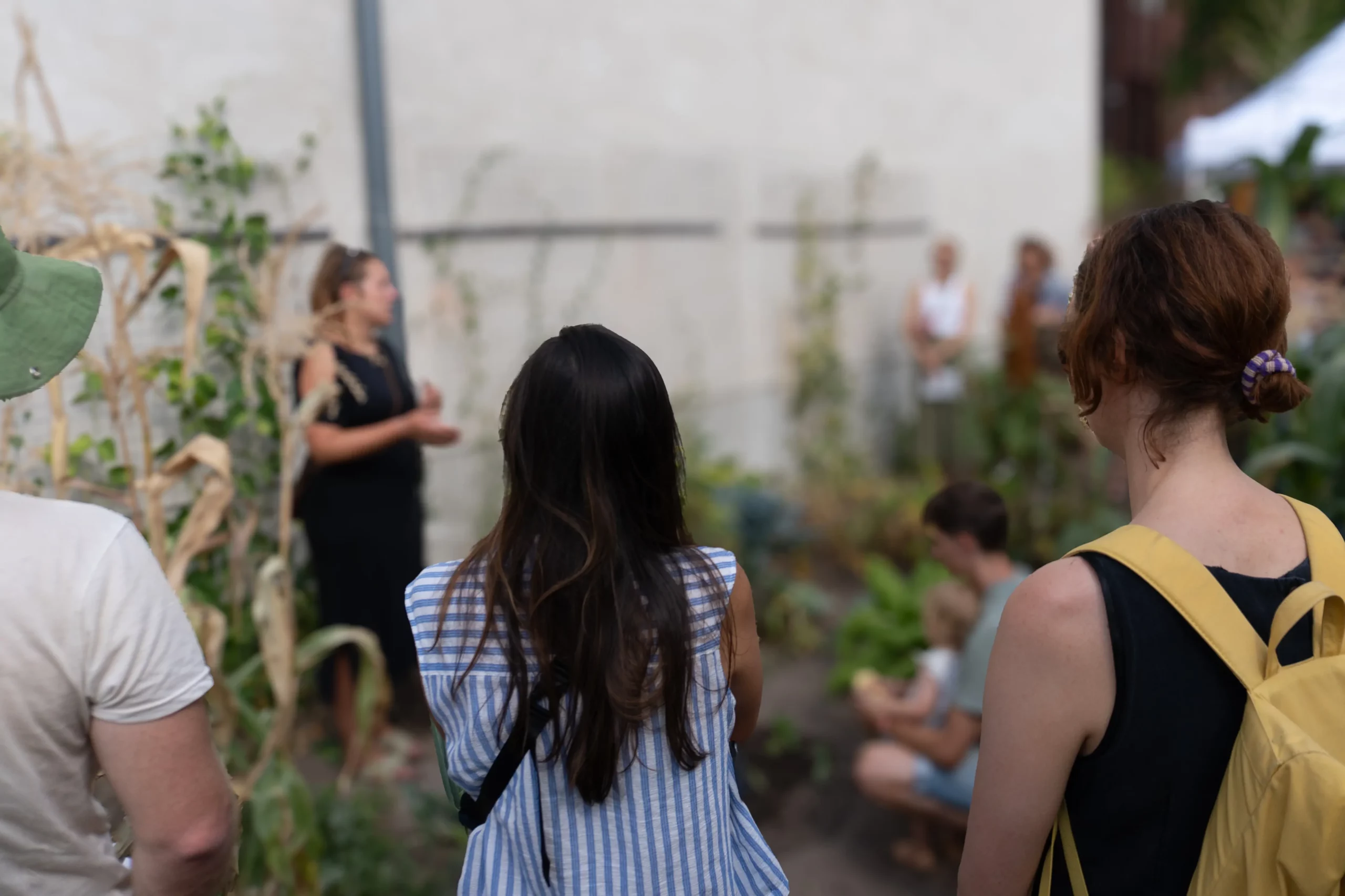Pflanzworkshop im Ackerschulgarten