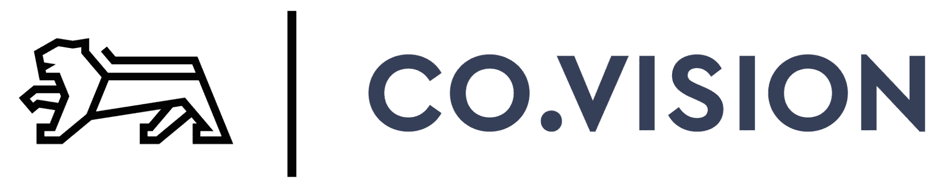 Logo CO.VISION